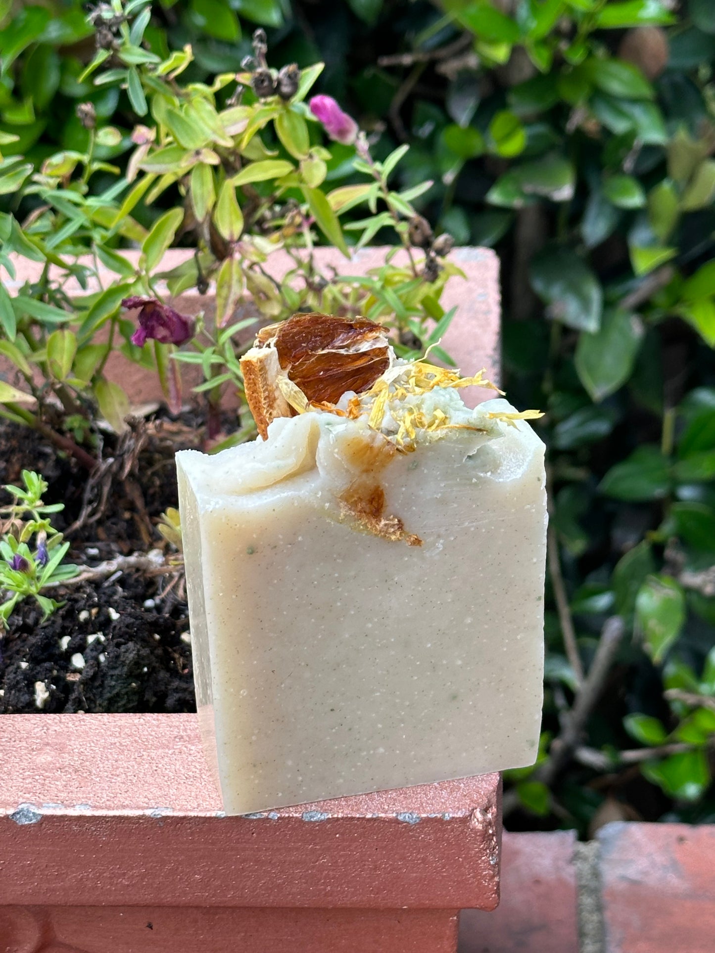 Orange & Clove Tallow & Moringa  All Natural Artisan Bar Soap