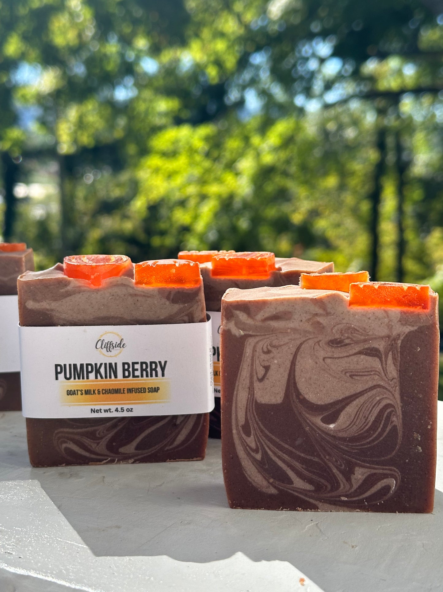 PumpkinBerry  Goat's Milk Artisan  Bar Soap