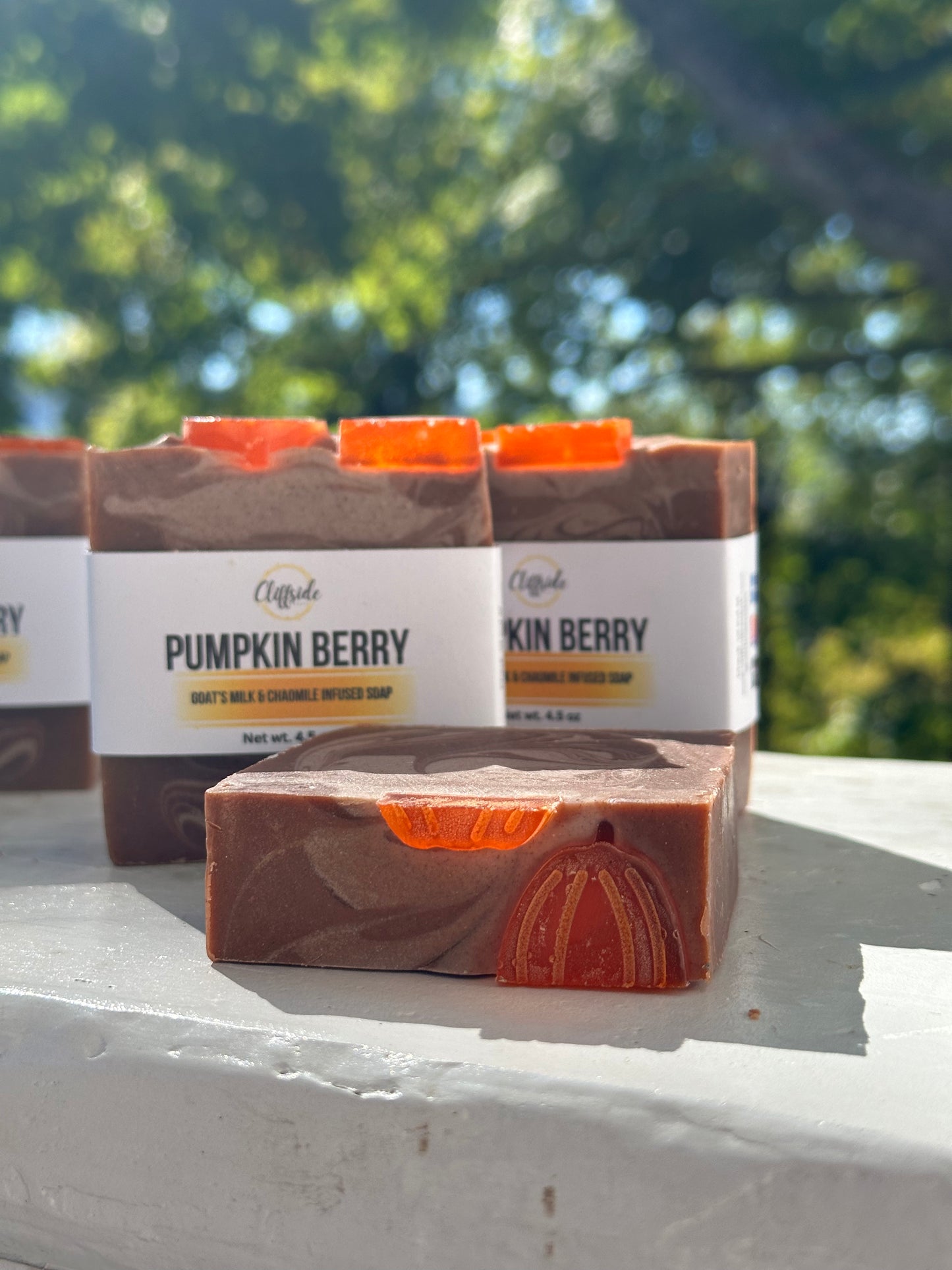 PumpkinBerry  Goat's Milk Artisan  Bar Soap