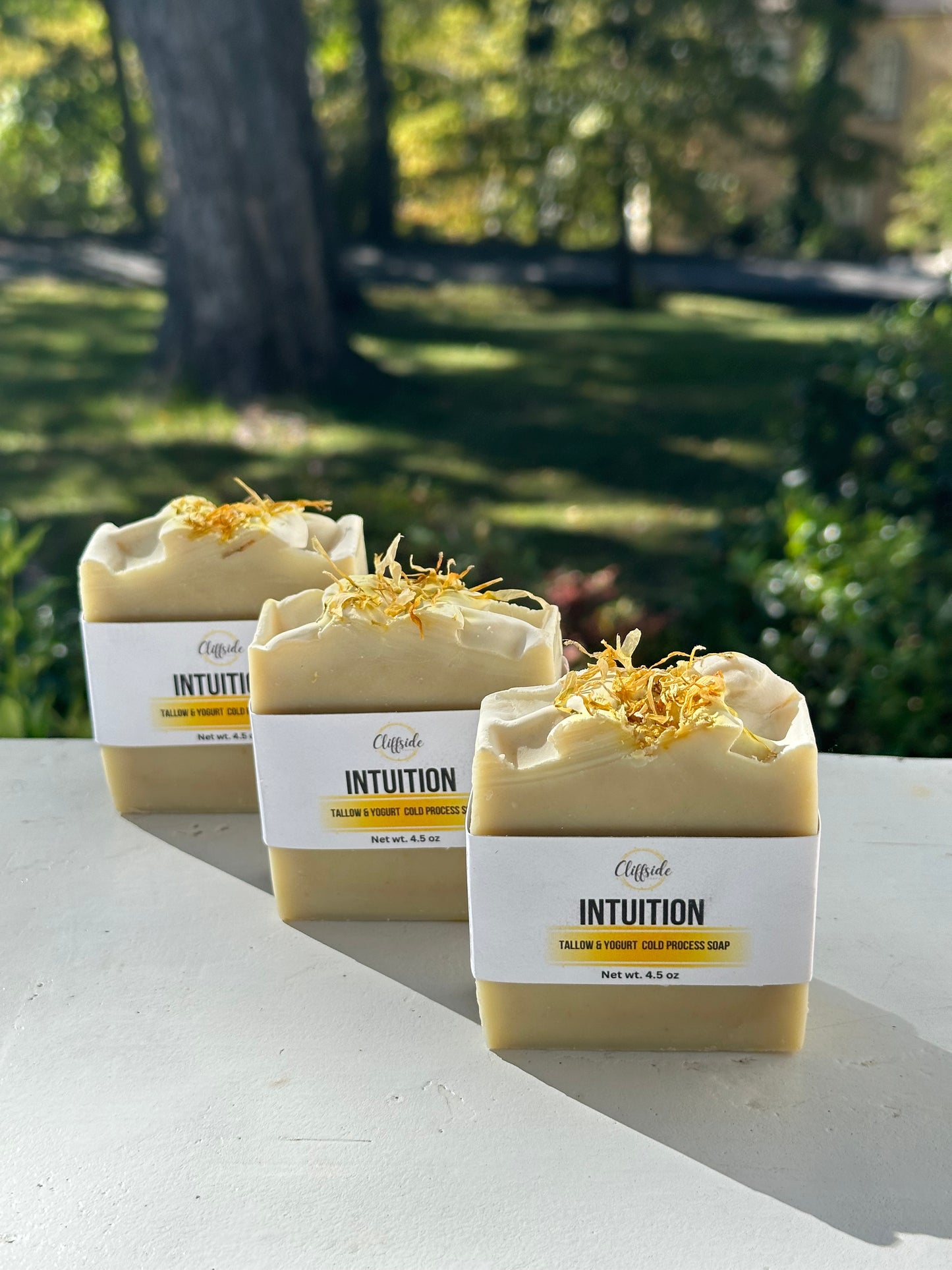 Intuition Tallow & Yogurt All Natural Artisan Bar Soap | Smoky Mountain Starseed Collection