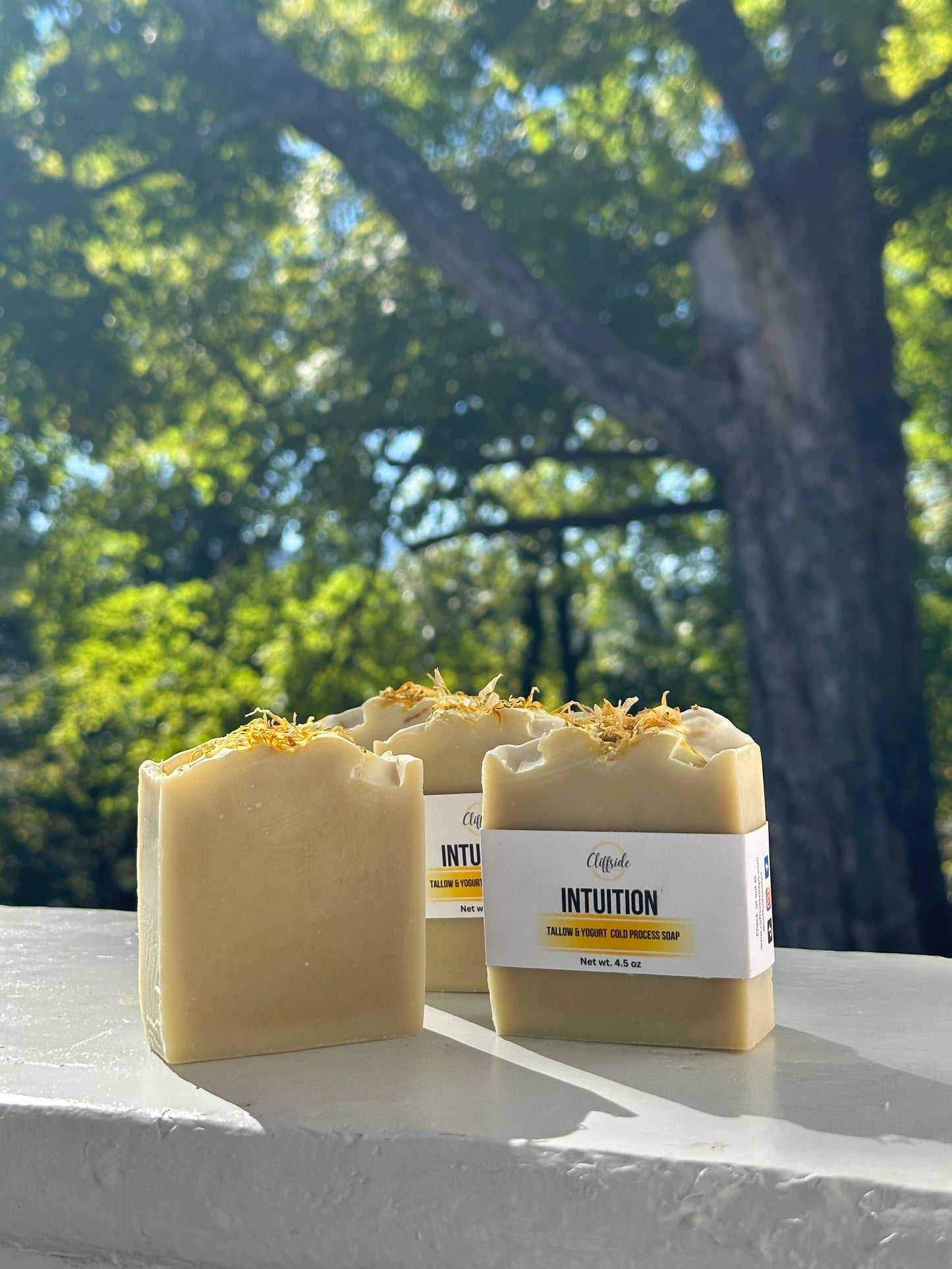 Intuition Tallow & Yogurt All Natural Artisan Bar Soap | Smoky Mountain Starseed Collection