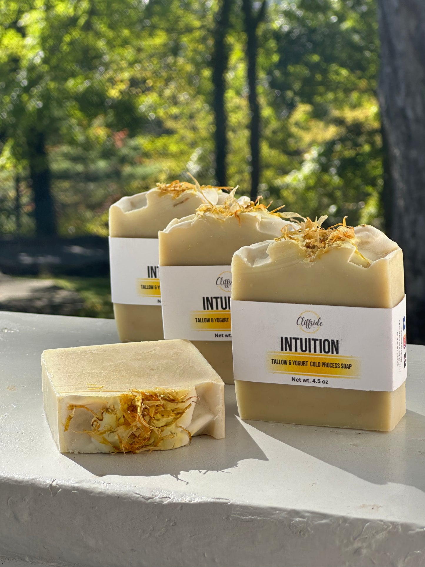 Intuition Tallow & Yogurt All Natural Artisan Bar Soap | Smoky Mountain Starseed Collection